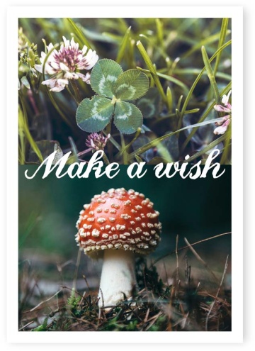Postkarte Make a wish